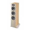 Enceintes colonnes Focal Theva N°3