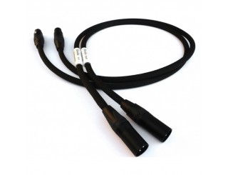 Câble de modulation Absolue Cable Tim Essential XLR Câble de modulation Absolue Cable Tim Essential XLR