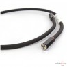 Câble numérique Absolue Cable Tim-Essential SPDIF