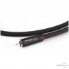 Câble numérique Absolue Cable Tim-Essential SPDIF