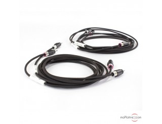 Câbles haut-parleurs Absolue Cable Tim-Essential