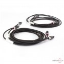 Câbles haut-parleurs Absolue Cable Tim-Essential