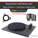 Platine vinyle Rega Planar 6 avec cellule Gold Note Vasari Gold