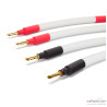 Jumpers HP Viard Audio Straps HD20 (x4) Jumpers HP Viard Audio Straps HD20 (x4)