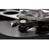 Platin vinyle Rega Naia