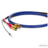 Câble phono Cardas Clear Cygnus Phono