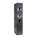 Enceintes colonnes Indiana Line Test 561