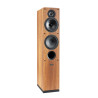 Enceintes colonnes Indiana Line Test 561