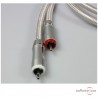 Cavo di modulazione QED Signature Audio 40