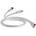 Câble de modulation QED Signature Audio 40