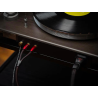  C BLE DE MASSE PHONO AUDIOQUEST BLACK HOLE GROUNDGOODY