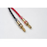 Câbles haut-parleur PRO-JECT Connect IT LS E
