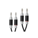 Câbles haut-parleur PRO-JECT Connect IT LS RS