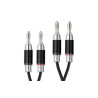 Câbles haut-parleur PRO-JECT Connect IT LS RS