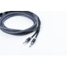 Câbles haut-parleur PRO-JECT Connect IT LS RS
