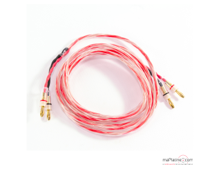 Câbles haut-parleur PRO-JECT Connect IT LS E