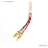 Câbles haut-parleur PRO-JECT Connect IT LS E