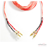 Câbles haut-parleur PRO-JECT Connect IT LS E