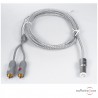 Câble PHONO Audioquest Wildcat