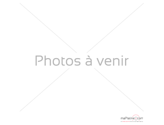 Stylus Gold Note Vasari Shibata