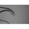 Câble phono Transparent The Link Phono