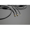 Phono-Kabel Transparent The Musiclink G6