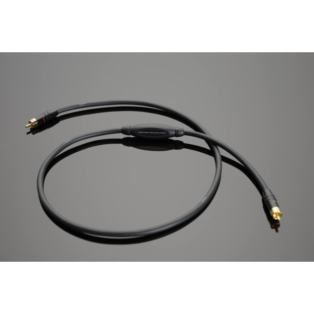 Câble phono Transparent The Musiclink G6
