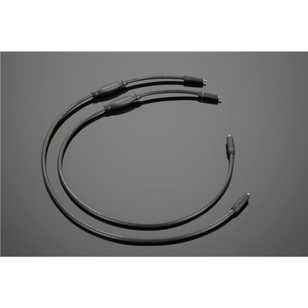 Câble phono Transparent The Musiclink Plus G6