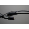 Cable phono Transparent The Musiclink Plus G6