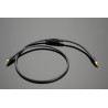 Cable de modulación Transparent The Musiclink G6