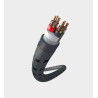 Câble HP Real Cable 3D-TDC