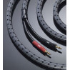 Câble HP Real Cable 3D-TDC