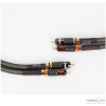 Câble de modulation Real Cable CA 1801 Anniversaire