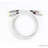 Cable de modulation Wireworld Solstice 10