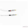 Cable de modulation Wireworld Solstice 10