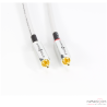 Cable de modulation Wireworld Solstice 10
