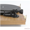 Platine vinyle Pro-Ject EVO II walnut avec stylus 2M BLUE