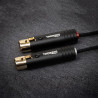 Cable Phono THORENS PHS 15O XLR-XLR