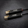 Câble phono THORENS PHC 150 XLR-XLR