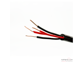 Câble Haut Parleur Audioquest Type 5 au mètre
