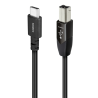 USB-Digitalkabel Audioquest Carbon
