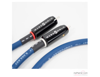 Câble de modulation Wireworld Oasis 7