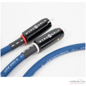 Câble de modulation RCA Wireworld Oasis 10
