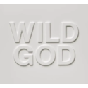 Disque vinyle Nick Cave & the Bad Seeds - Wild God