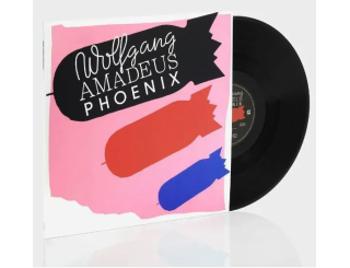 Disque vinyle Stevie Wonder - 12 Year Old Genius