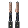 Câble de modulation Audioquest Thunderbird RCA