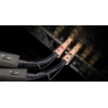 Câble de modulation Audioquest Thunderbird RCA