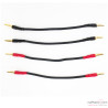 Jumper haut-parleurs phono Transparent Basic Biwire (x4)