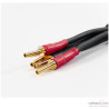 Jumper haut-parleurs phono Transparent Basic Biwire (x4)