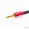 Jumper haut-parleurs phono Transparent Basic Biwire (x4)
